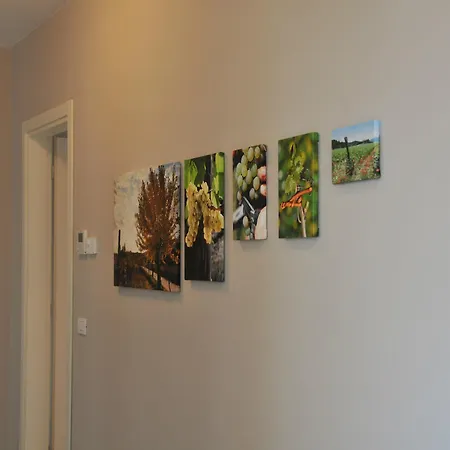 Vieulif Bed & Breakfast