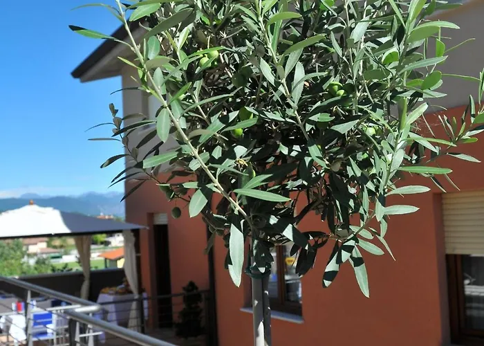 Vieulif